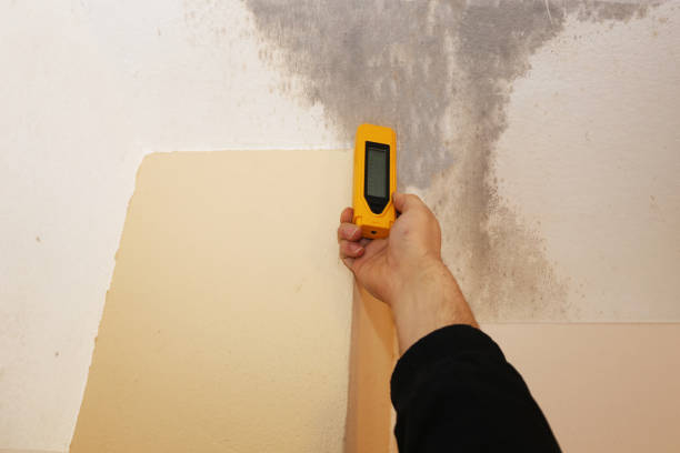 Best Commercial Mold Inspection  in Stony Point, NC