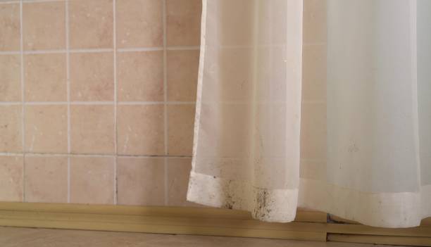 Best Mold Prevention Services  in Stony Point, NC