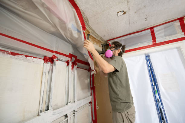 Best Dehumidification Services  in Stony Point, NC