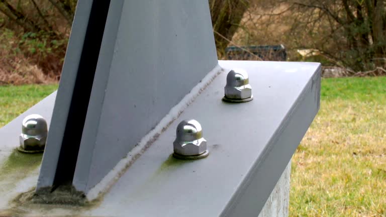 Best Mold Documentation for Insurance Claims  in Stony Point, NC